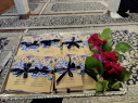 جلسات هفتگی شرح «حدیث عنوان بصری» به همت کمیته فلسفه انجمن علمی منهاج دانشگاه شهید مطهری واحد خواهران مشهد 