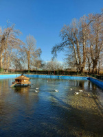 برگزاری اردوی فرهنگی تربیتی در اردوگاه امام رضا(ع) (بیلدر طرقبه) به مناسبت روز دانشجو