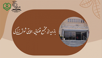 بازدید از مجتمع قضایی حمایتی شوق زندگی